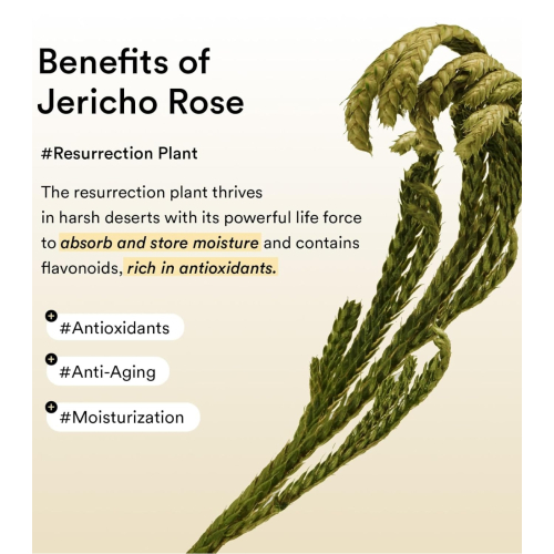 Abib - Patchs contour des yeux Collagen Jericho Rose Jelly