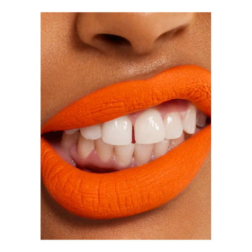 about-face - Rouge à lèvres liquide Paint-It Matte - 22: Canyon on Fire