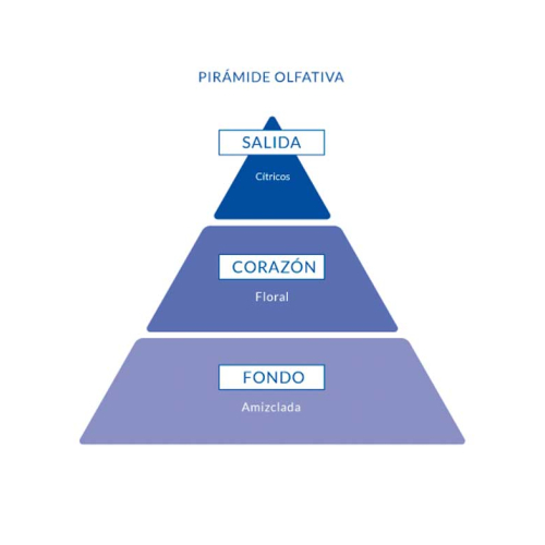 Aire de Sevilla - Eau de toilette pour femme 150ml - Fleur d'oranger