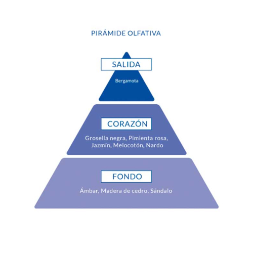 Aire de Sevilla - Eau de toilette pour femme 150ml - Chicca Bonita