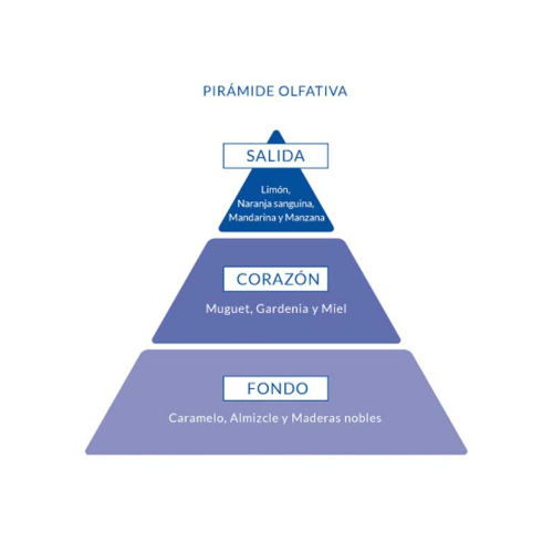 Aire de Sevilla - Eau de toilette pour femme 150ml - Oh My God!!