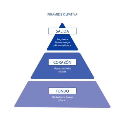 Poseidon - Pack d'Eau de toilette pour homme - Poseidon Homme