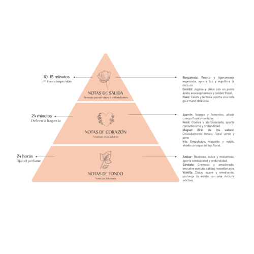 Alma Secret - *Home* - Désodorisant Mikado - Amber & Vanilla