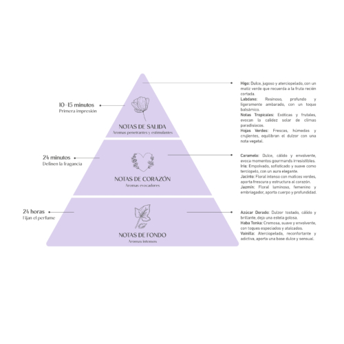 Alma Secret - *Home* - Désodorisant Mikado - Wild Fig & Praliné