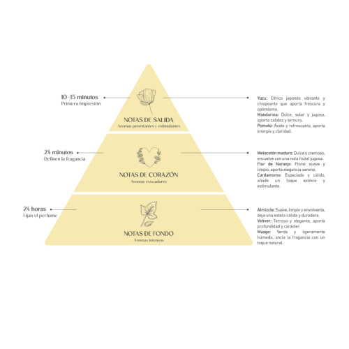 Alma Secret - *Home* - Désodorisant Mikado - Yuzu & Sweet Peach