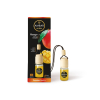 AMBAR Perfums - Désodorisant pour voiture - Mangue