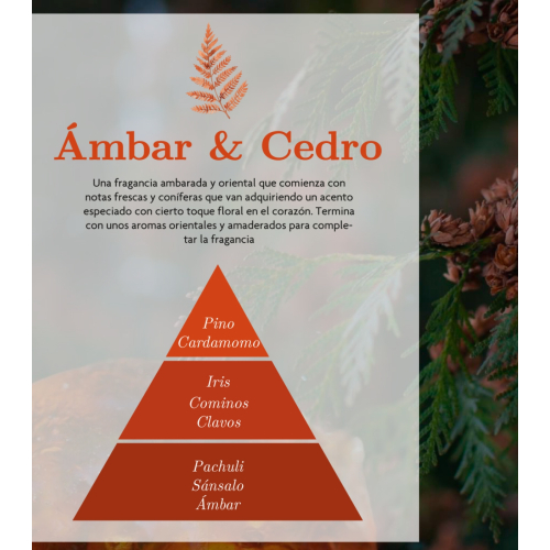 AMBAR Perfums - *Zen* - Désodorisant Mikado - Intensité : Ambre et Cèdre