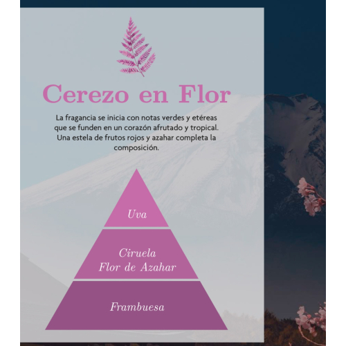 AMBAR Perfums - *Zen* - Désodorisant Mikado - Renaissance : Fleur de cerisier