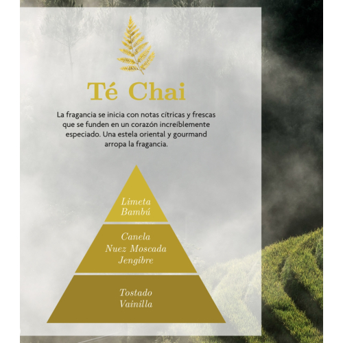 AMBAR Perfums - *Zen* - Désodorisant pour voiture - Activation : Thé Chai