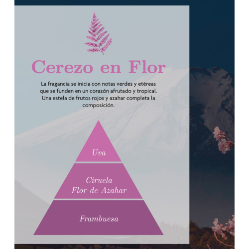 AMBAR Perfums - *Zen* - Désodorisant pour voiture - Renaissance : Fleur de Cerisier