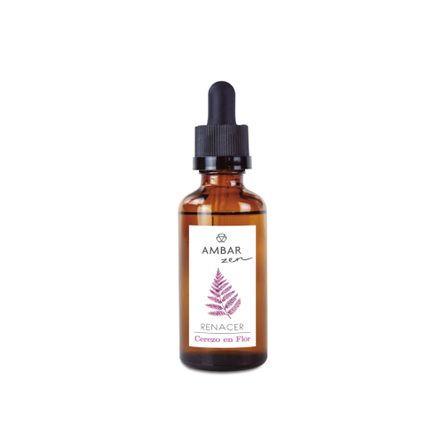 AMBAR Perfums - *Zen* - Essence hydrosoluble - Renaissance : Fleur de cerisier