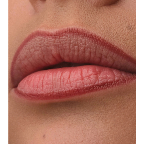 Catrice - Crayon à lèvres Precision Ink - 030: Over It Anyway
