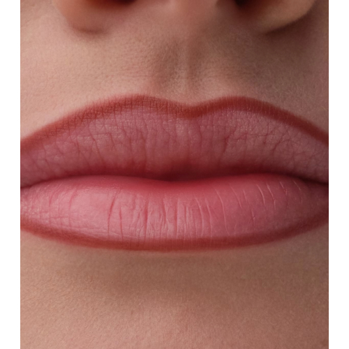 Catrice - Crayon à lèvres Precision Ink - 060: Kept Close