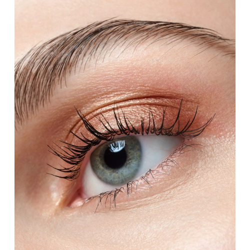 Catrice - Fard à paupières Art Couleurs - 440: Bronze Bliss