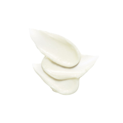 Cell Fusion C - Stick solaire SPF50+ PA++++ Aquatica