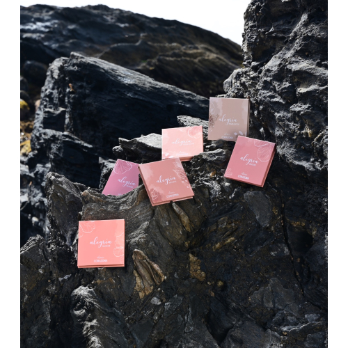 CORAZONA - *Collection Alegría x Alma* - Blush poudre - Bocao