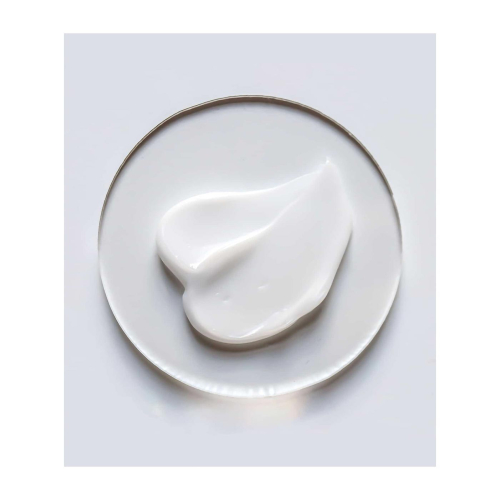 Current State - Crème pour le visage hydratante au bambou et aux acides aminés