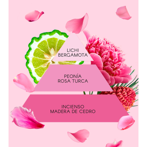 Don Algodon - Eau de toilette pour femme - La Vie en Rose