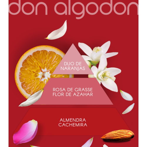 Don Algodon - Eau de toilette pour femme - Red Party