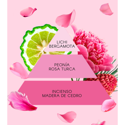 Don Algodon - Coffret La Vie en Rose