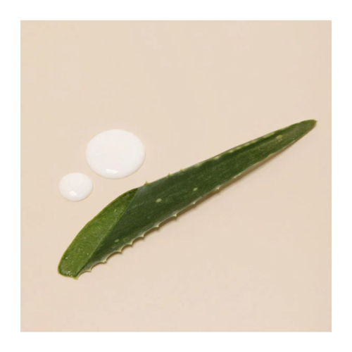Embryolisse - Crème hydratante multifonction fluide Eco-recharge Lait-Crème
