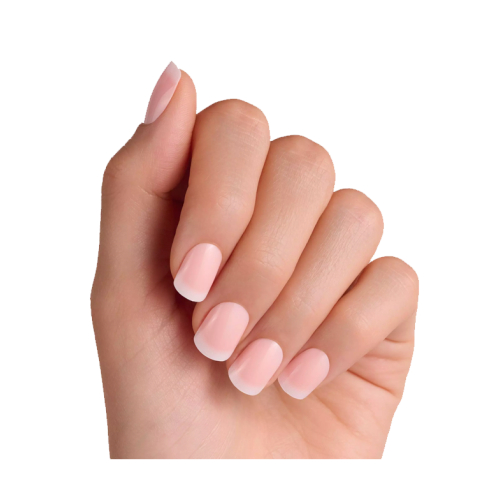 essence - Faux ongles Click-on French Manicure - 01: Classic French