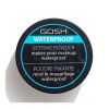 Gosh - Poudre de réglage Waterproof - 01: Transparent