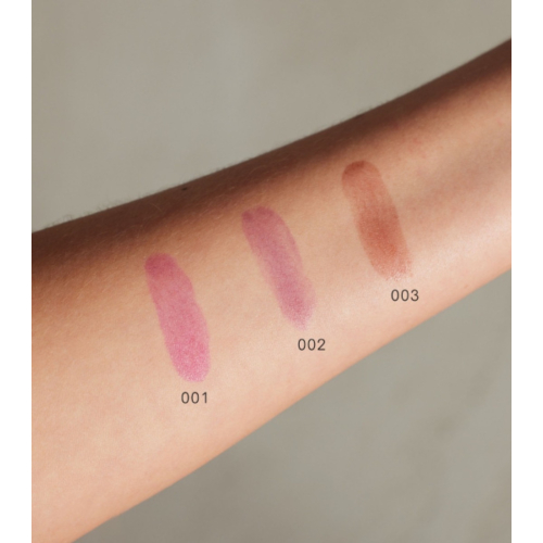 Gosh - Teinture pour les lèvres Lip Stain - 003: Dark Chocolate