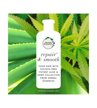 Herbal Essences - *Bio Renew* - Pack réparateur & adoucissant - Shampoing + Après-shampooing + Spray anti-frisottis