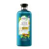 Herbal Essences - *Bio Renew* - Shampooing Réparateur à l'huile d'argan 400ml
