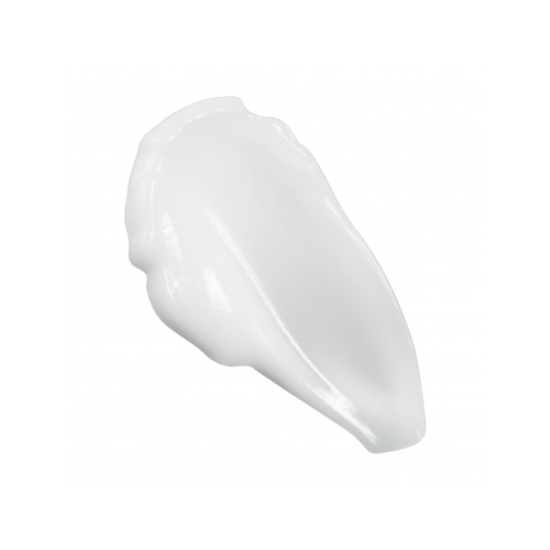 Hyeja - Crème hydratante pour le visage Vegan Rice Probiotics Gentle Ferment