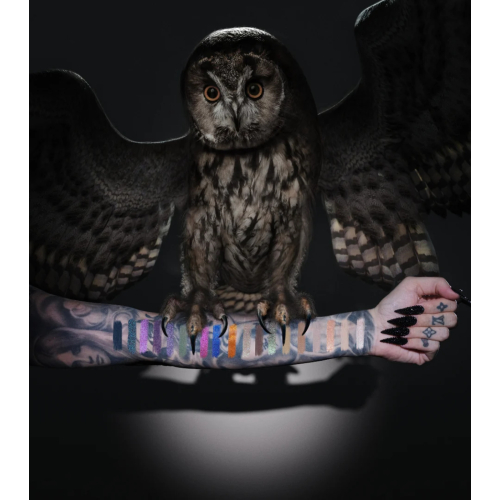 Jeffree Star Cosmetics - Palette de fards à paupières Night Owl
