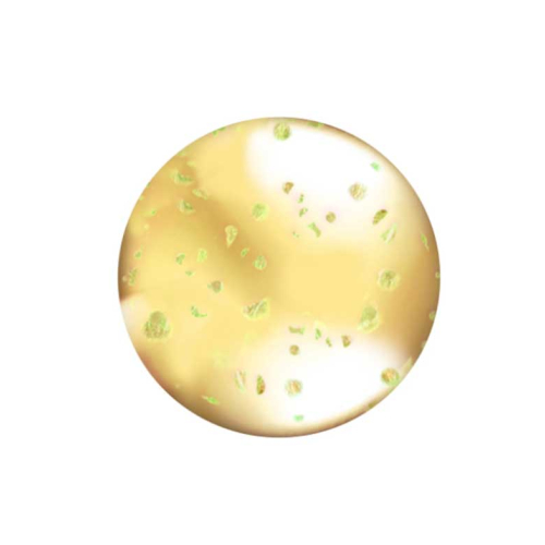 L.A Colors - Brillant à lèvres Lip Oil - CLG442: Hunnybun