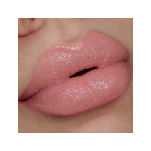 L.A. Girl - Pretty & Plump Rouge à lèvres - Pout Please