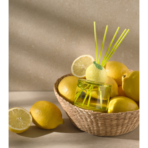 La Casa de los Aromas - *Reed Diffuser* - Désodorisant Mikado - Citrus Paradise