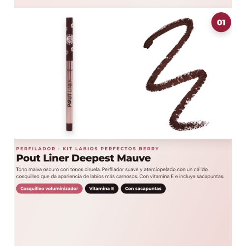 Makeup Revolution - Set de Profilage des lèvres Pout Liner - Deepest Mauve + Rouge à lèvres satiné Lip Allure - Material Girl Wine + Huile à lèvres en stick Jelly - Watermelon Crush Red