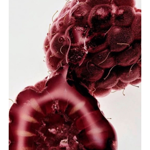 Maria Orbai - Brillant à lèvres Glossy Lip Butter - Açai Berry