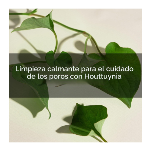 Mary & May - Nettoyant facial moussant purifiant Houttuynia Cordata + Tea Tree