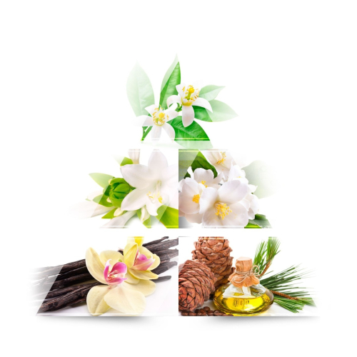 ONE AVENUE - Eau de parfum - Magnolia