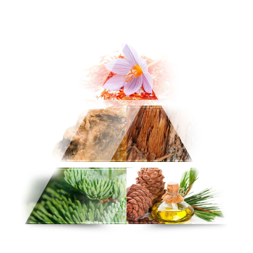 ONE AVENUE - Eau de parfum - Rouge