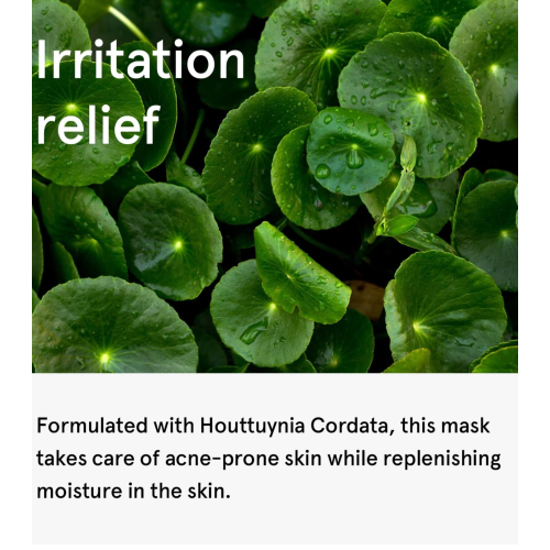 One Thing - Masque apaisant pour le visage Houttuynia Cordata