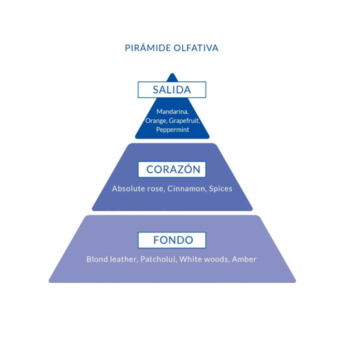 Poseidon - Eau de toilette pour homme 150 ml - Gold