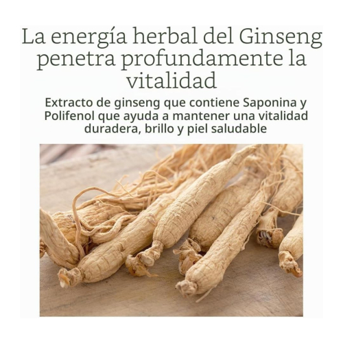 Pyunkang Yul - Contour des yeux concentré