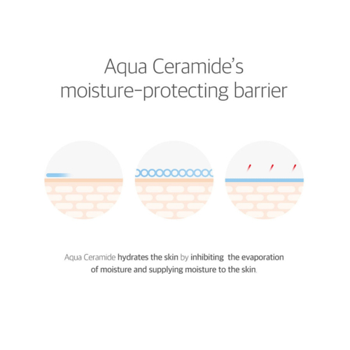 Round Lab - Crème solaire apaisante 365 Derma Relief SPF 50+ PA++++