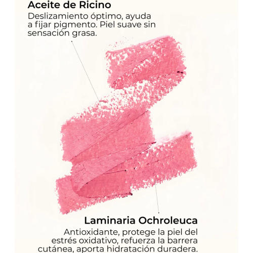 SEGLE - Blush en stick avec SPF50+ - Toasted Kiss