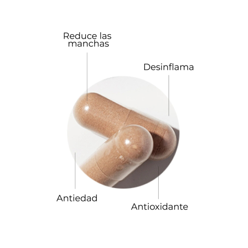 SEGLE - Complément alimentaire Clear Skin Pro - 60 gélules