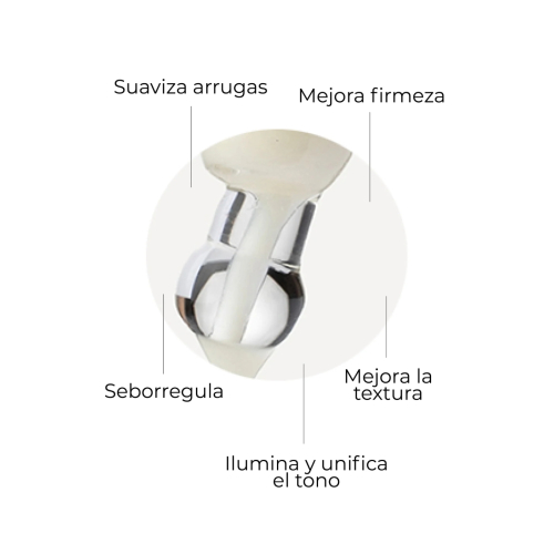 SEGLE - Pack anti-âge Well Aging Set