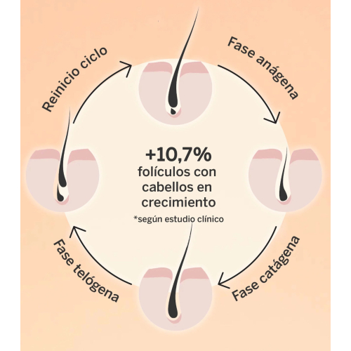 SEGLE - Sérum capillaire Revival & Density