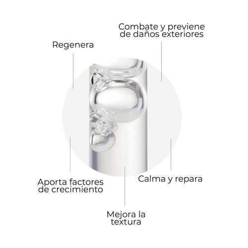 SEGLE - Sérum visage anti-âge régénérant Skin Factor - Peau sensible