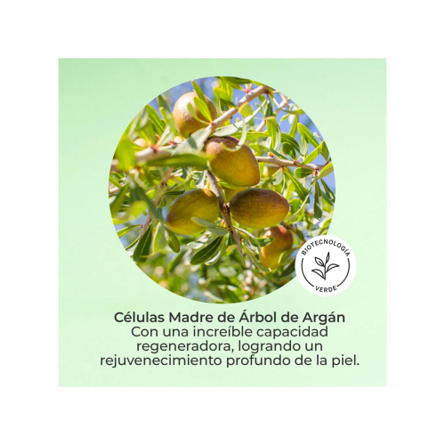 SEGLE - Sérum Visage Cellular Plus